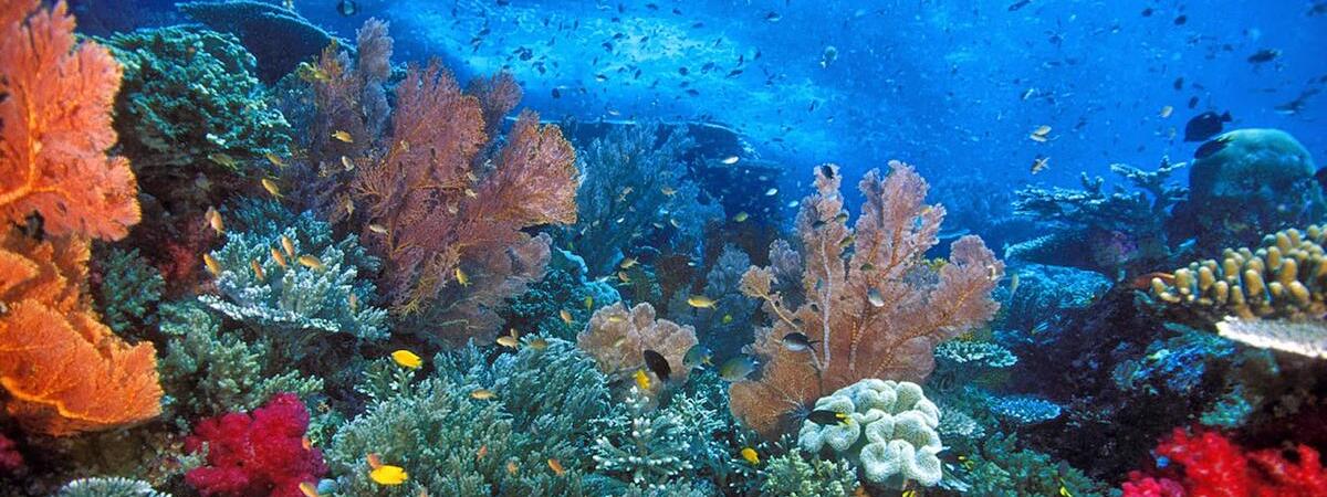 Pantai 3 - Sandy beach paradise